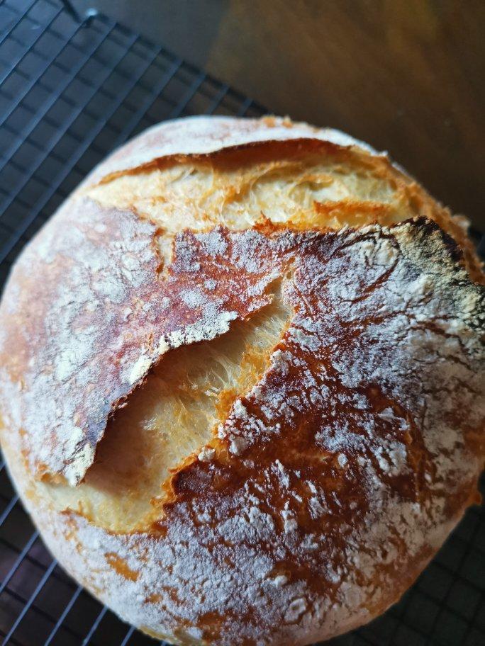 欧包/乡村面包-无油不用揉 No Knead Bread