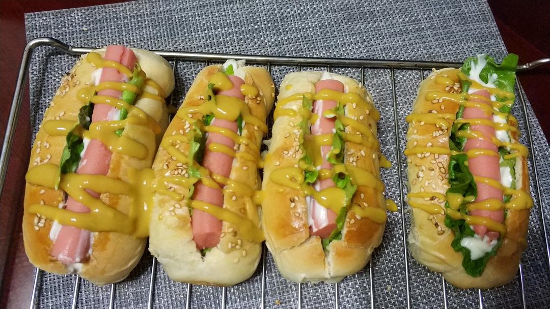 超可爱的Mini小热狗