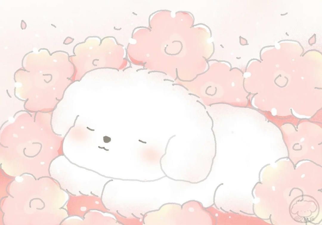 爱做饭的小可耐