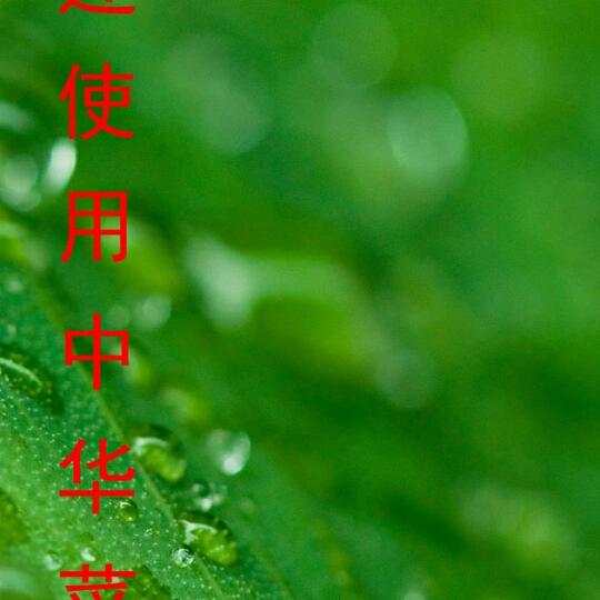 凌音-1