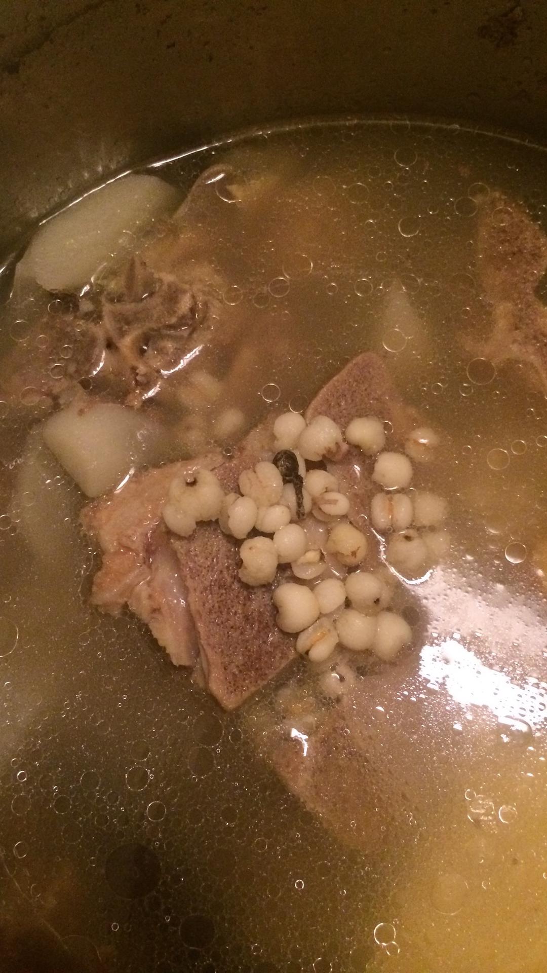 萝卜薏仁排骨汤的做法