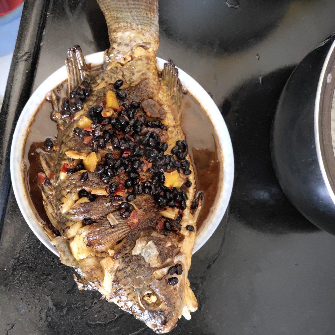 童年回忆之豆豉红烧福寿鱼罗非鱼