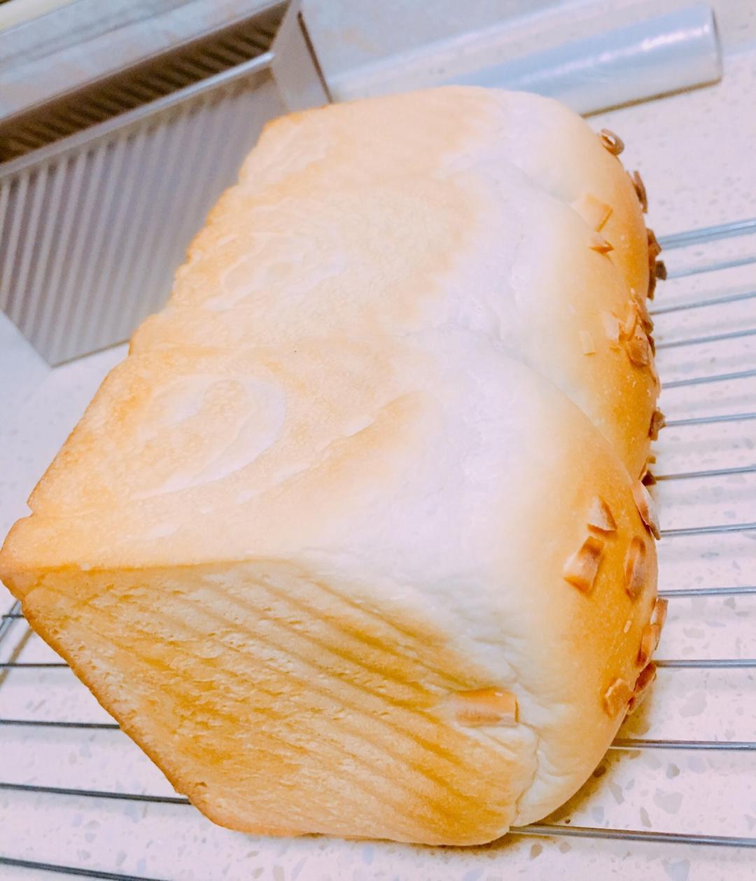 《Tinrry+》软绵绵的白吐司