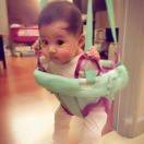 猪猪妈咪爱猪猪