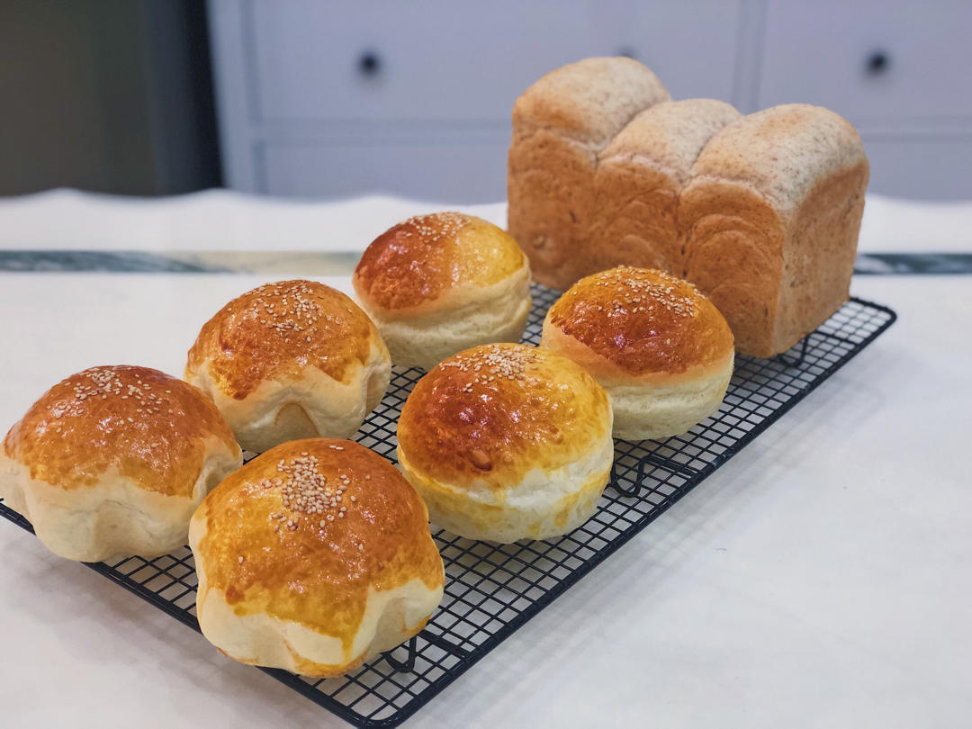 汉堡胚 poolish（波兰种）