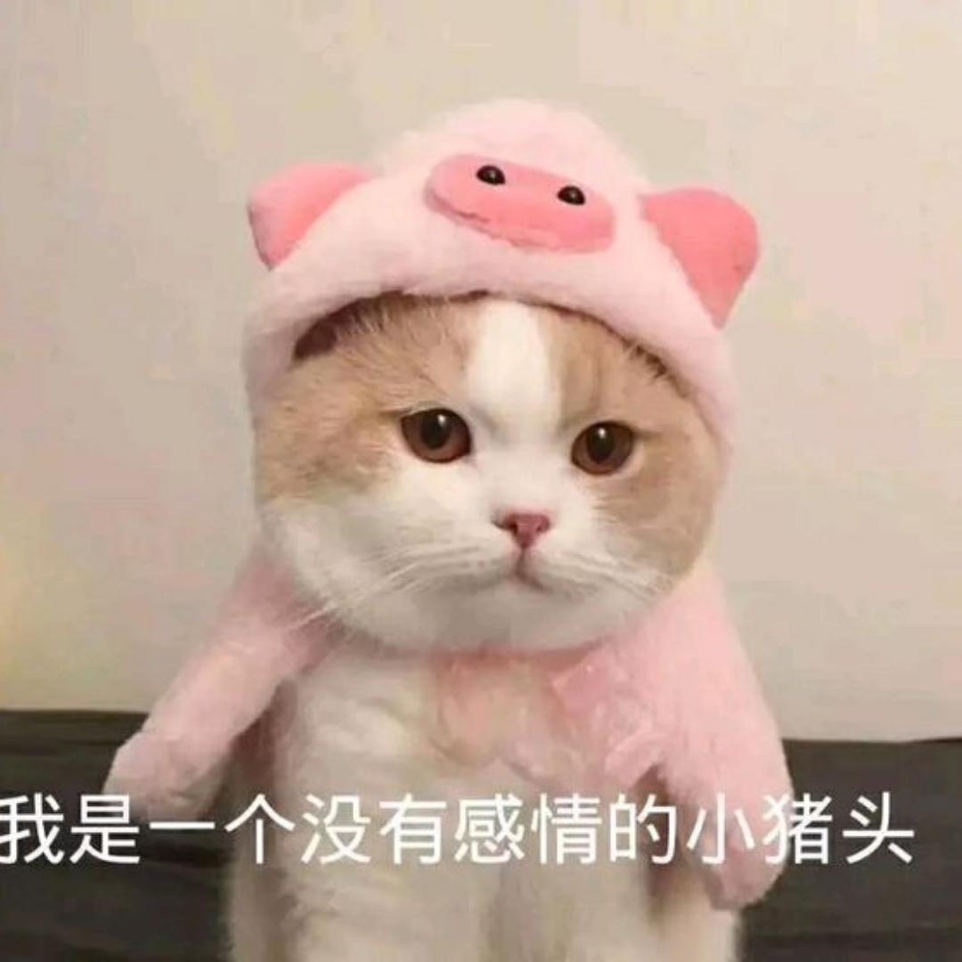 小槌槌
