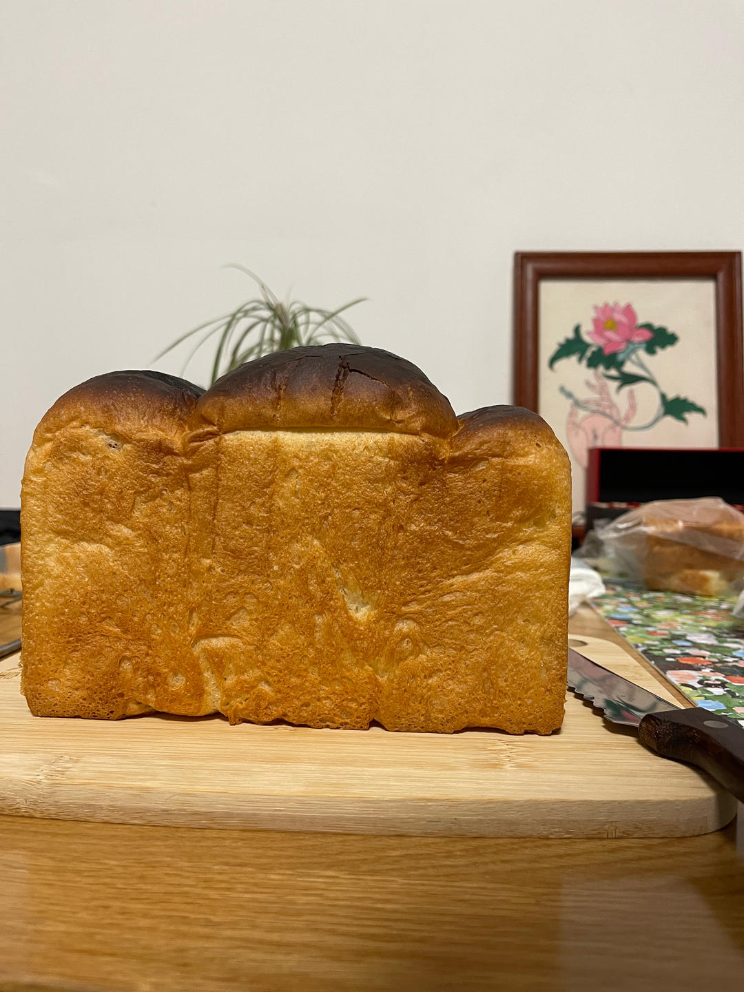 免揉鲜奶油香草迷你吐司（藤田千秋）