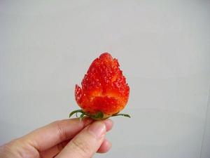 草莓玫瑰花——让草莓一分钟变玫瑰的做法 步骤3