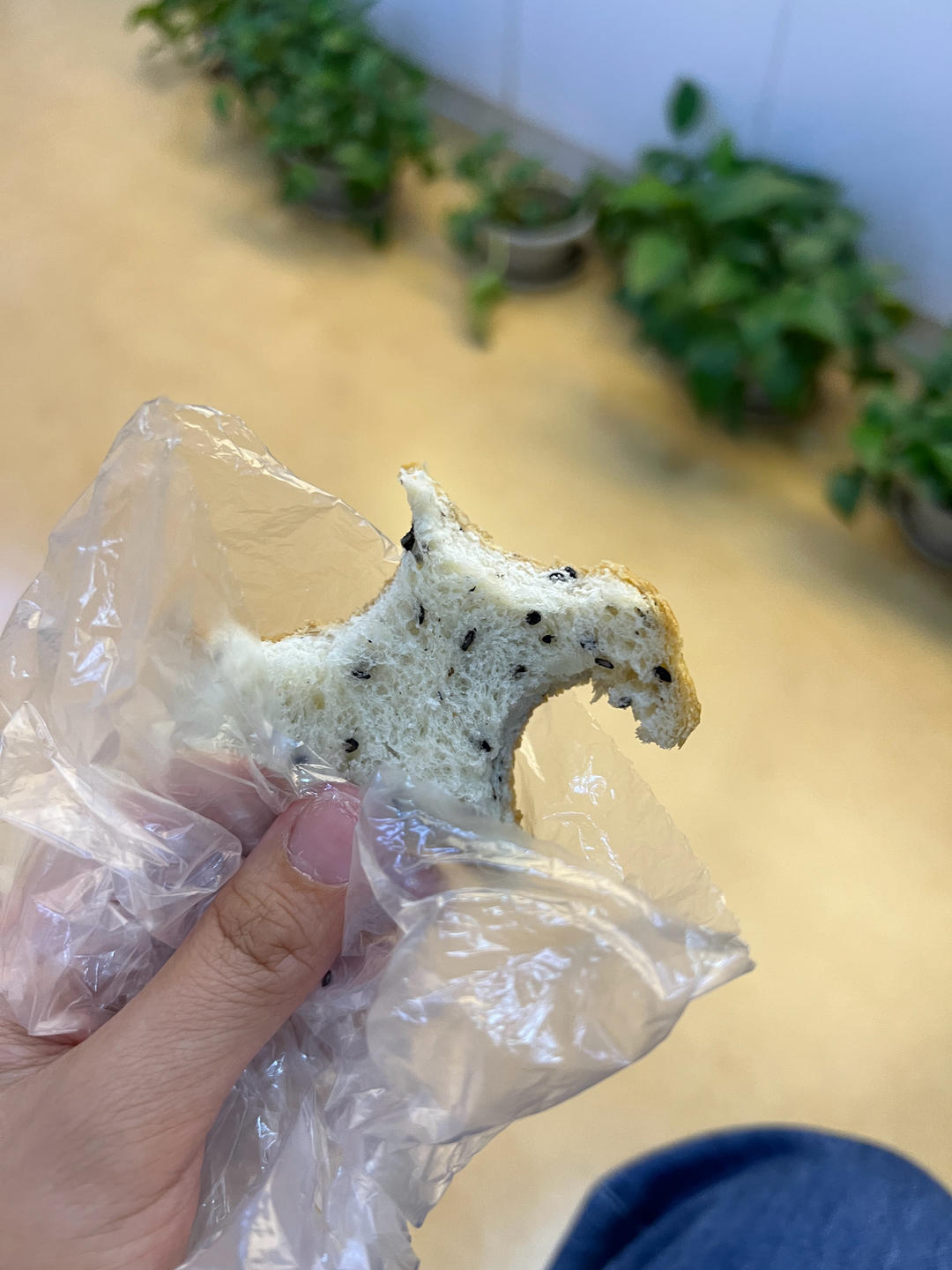 ✔️越嚼越香de黑芝麻咸吐司