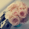 RenessMe
