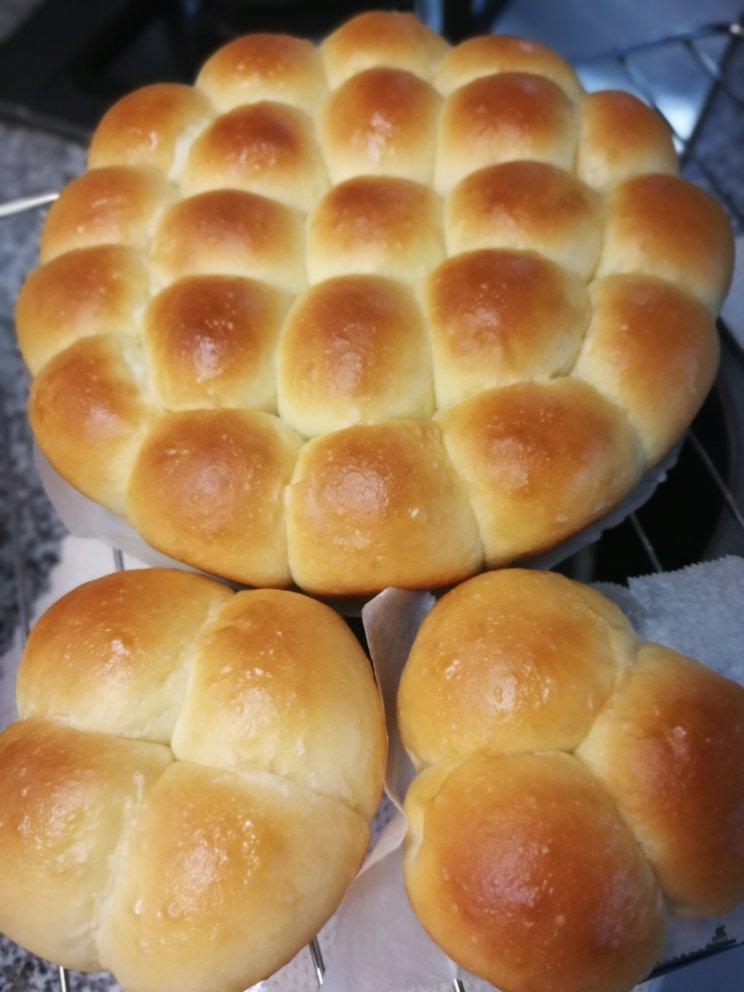 奶酪金钱小面包