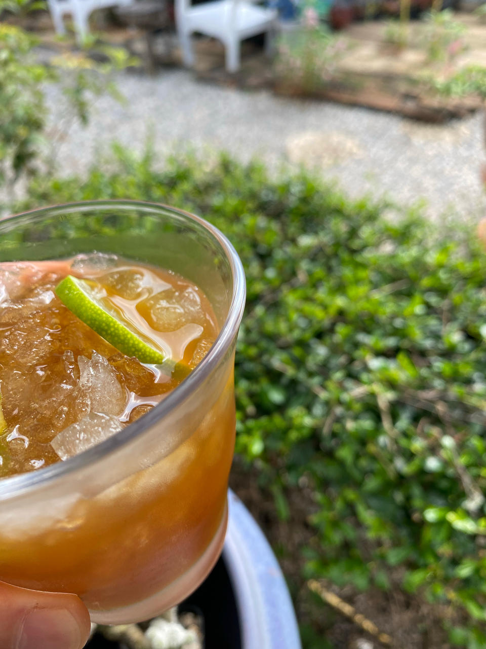 自制柠檬茶