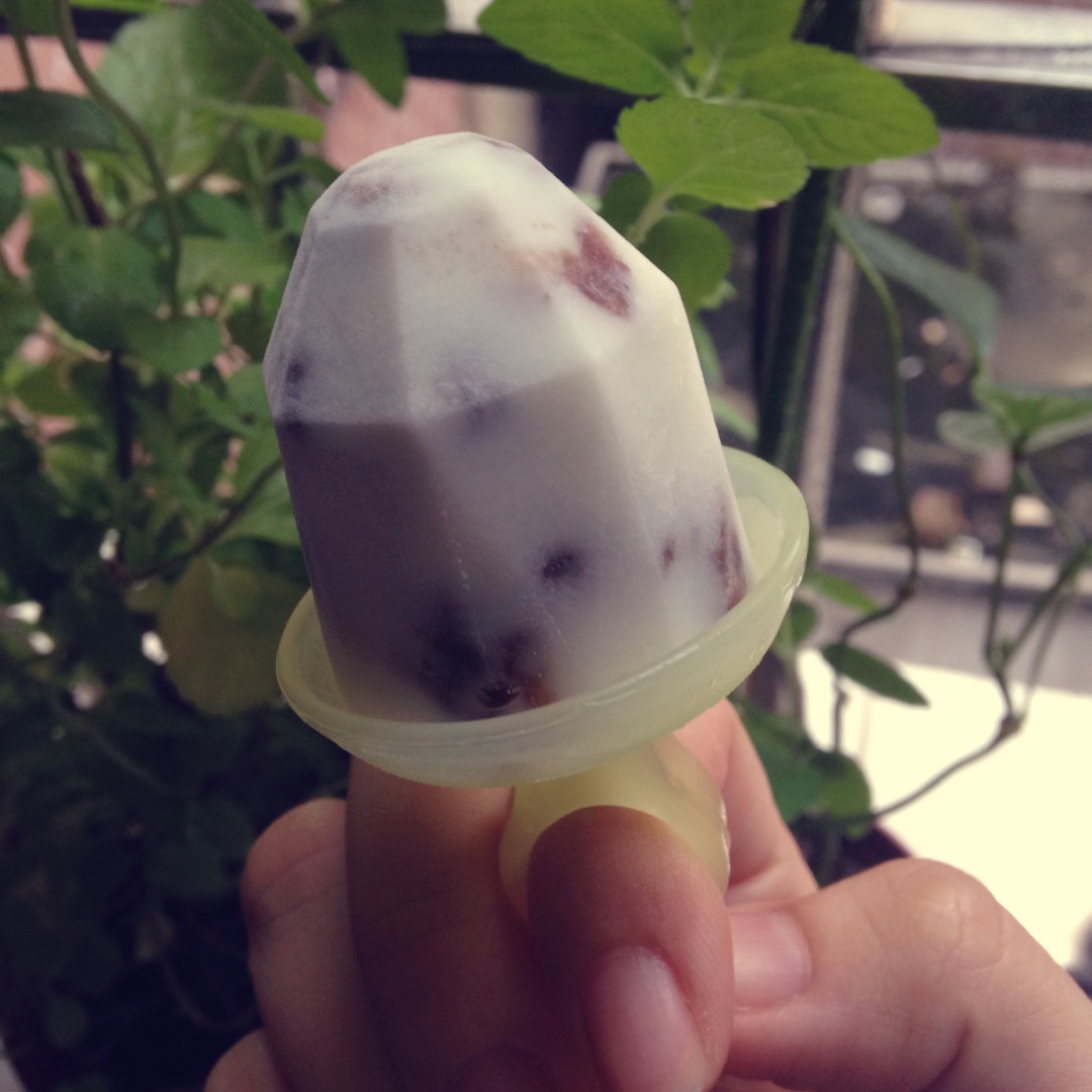 红豆酸奶冰棒【山姆厨房】