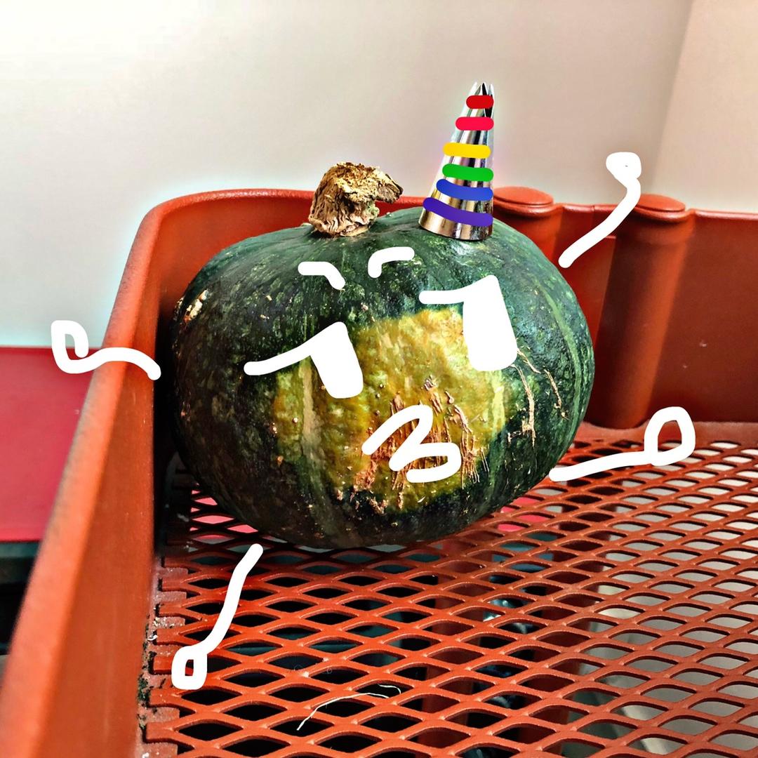 蜡笔小芯2333333333333333