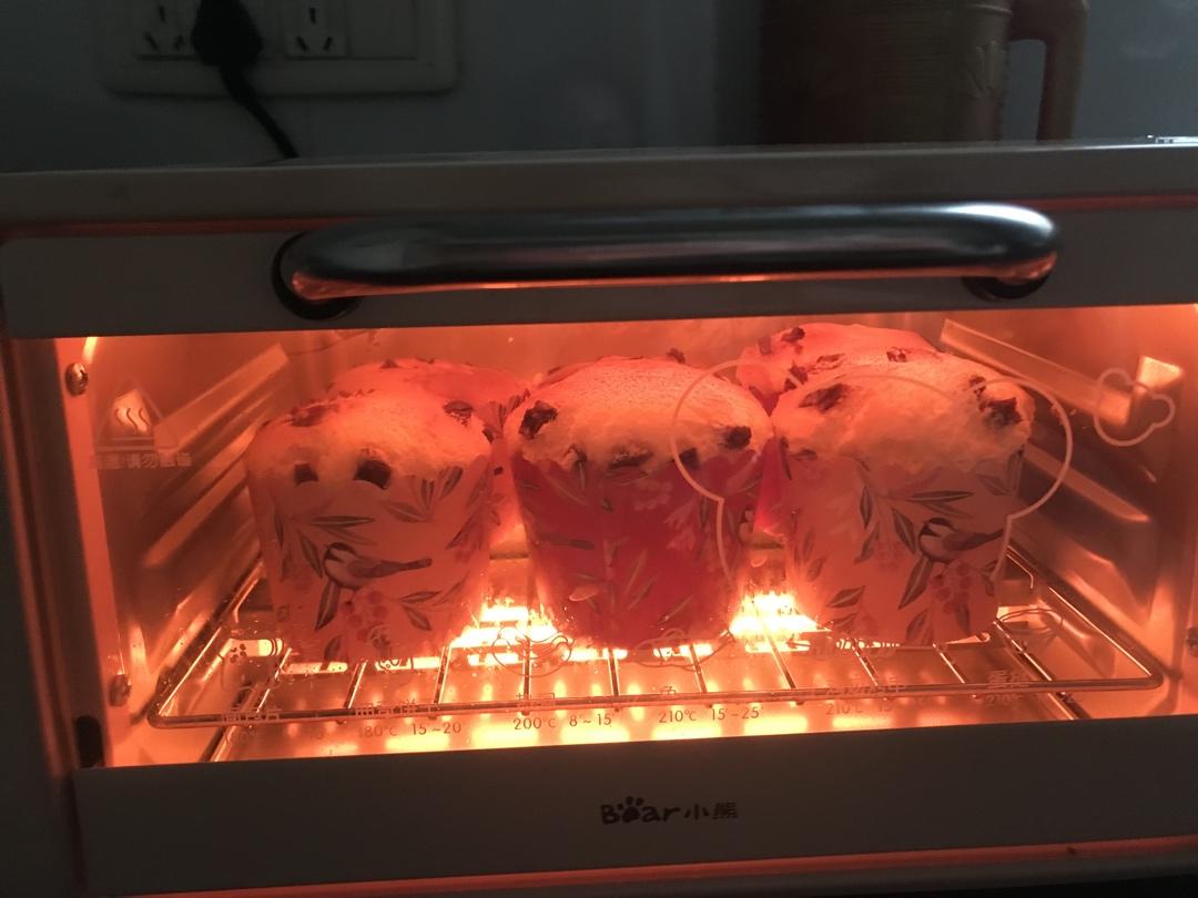 蔓越莓纸杯戚风小蛋糕