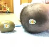 羊崽也是萄萄柚妈妈