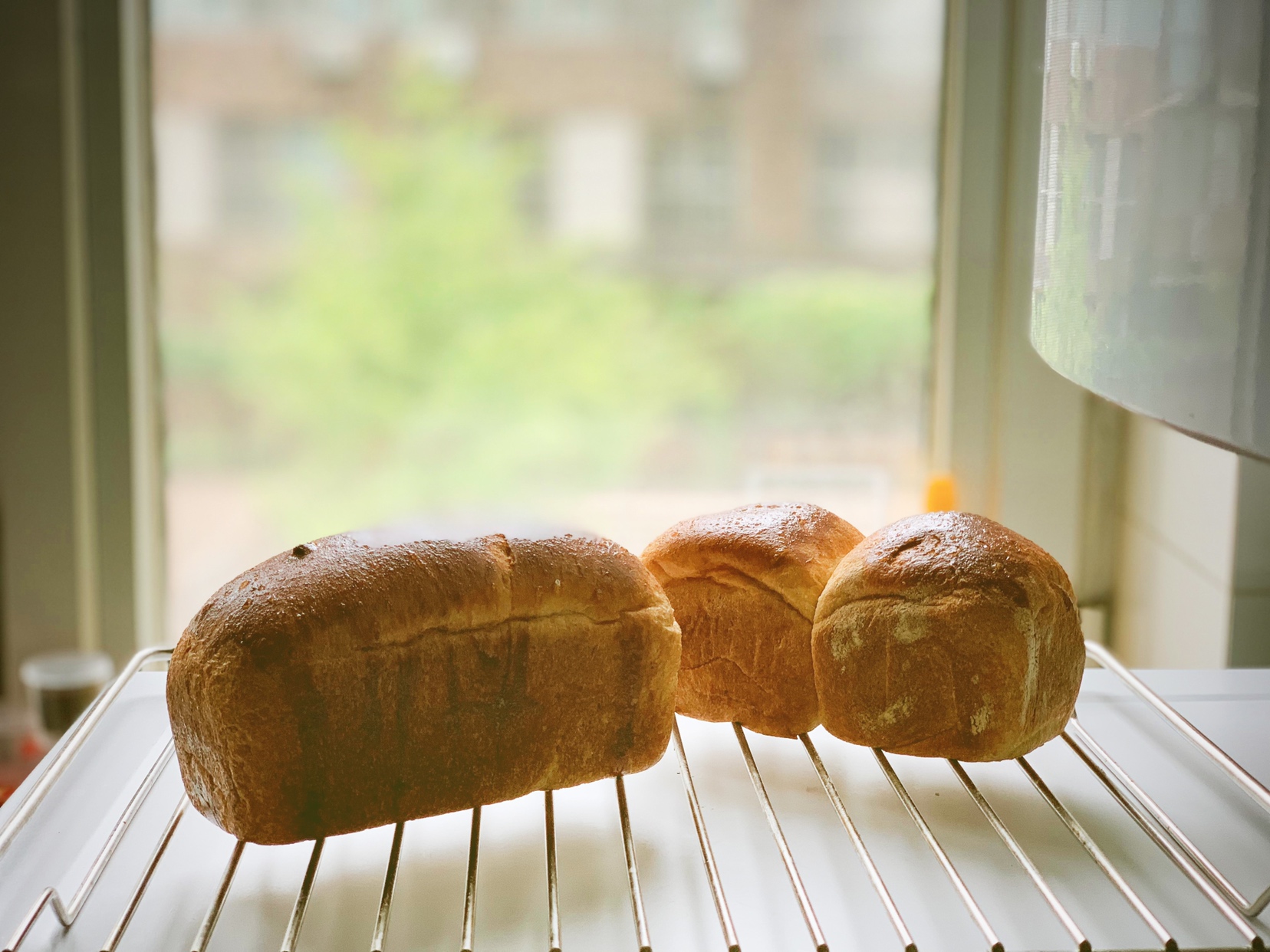 生酮低碳发酵面包的做法