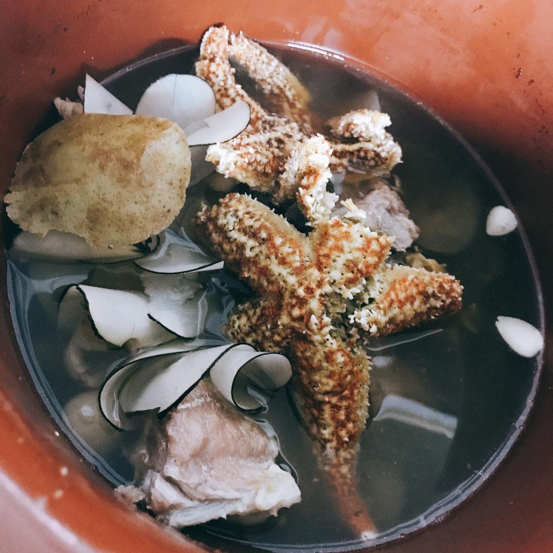 海星煲海底椰