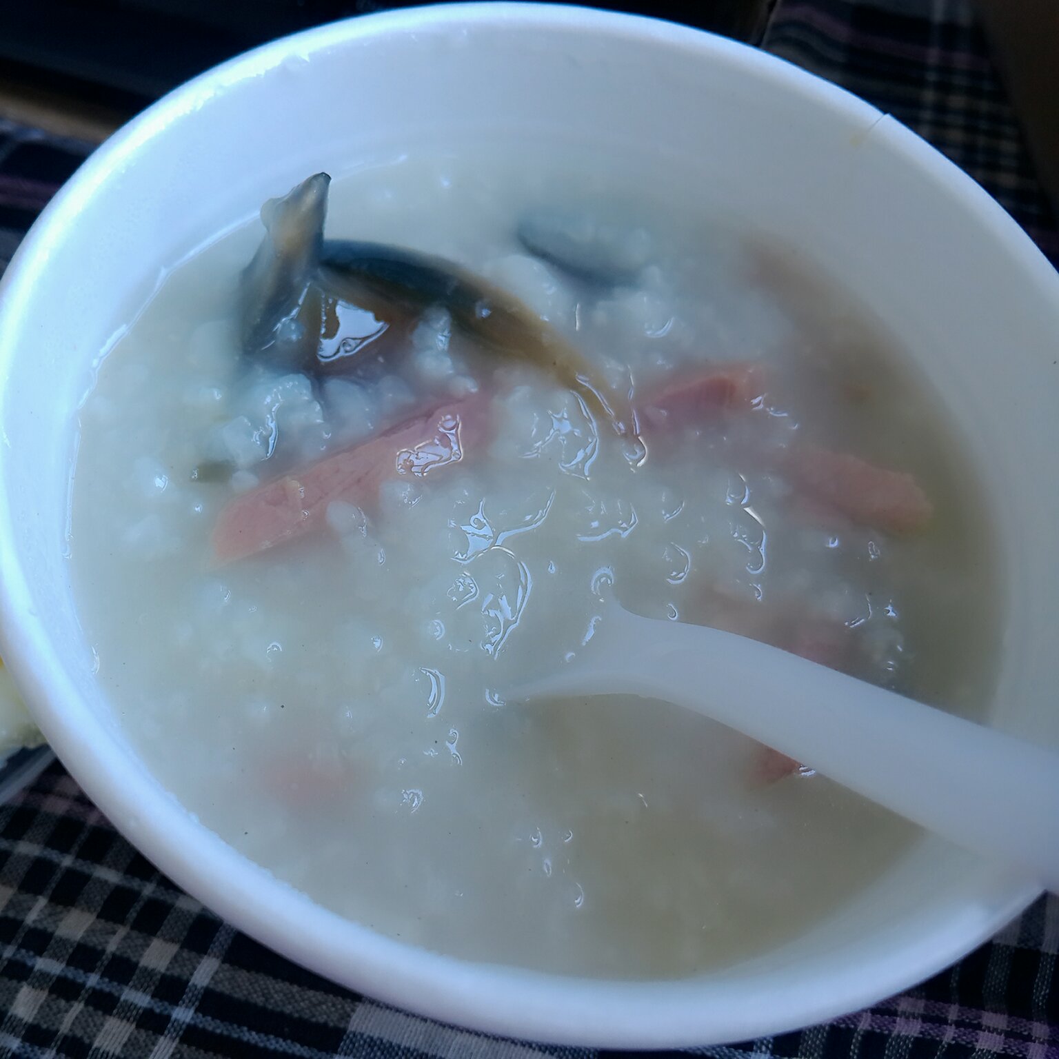外出觅食记