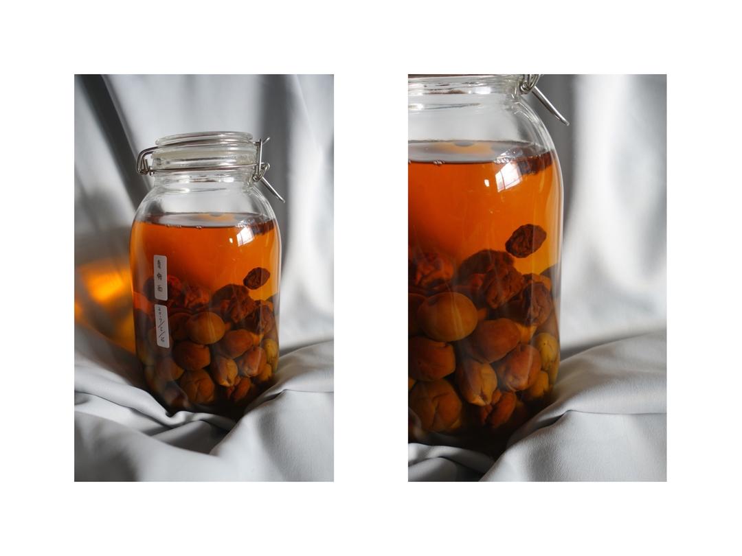 【青梅酒】梅子的沉醉时光（已填坑）