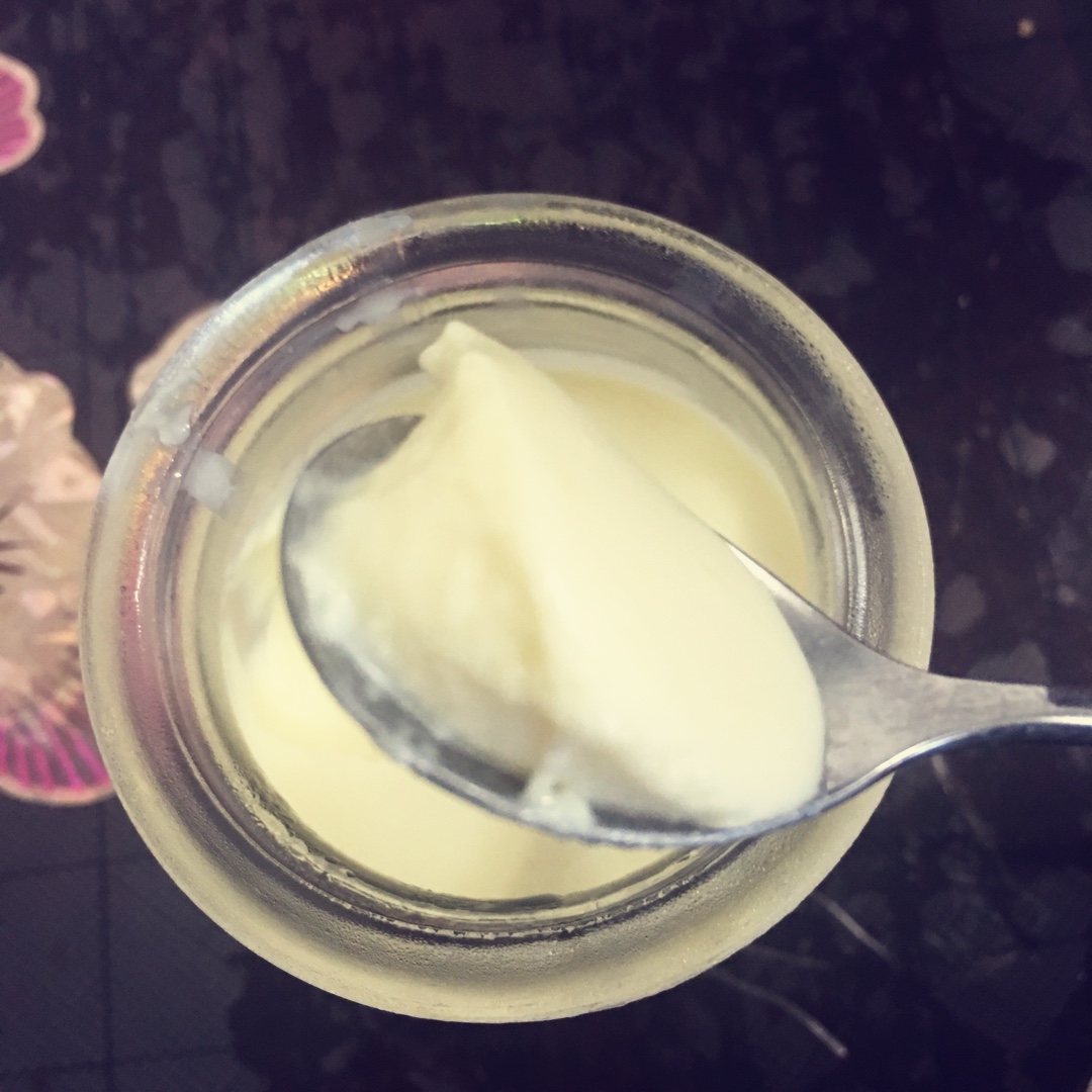 重口味的榴莲布丁
