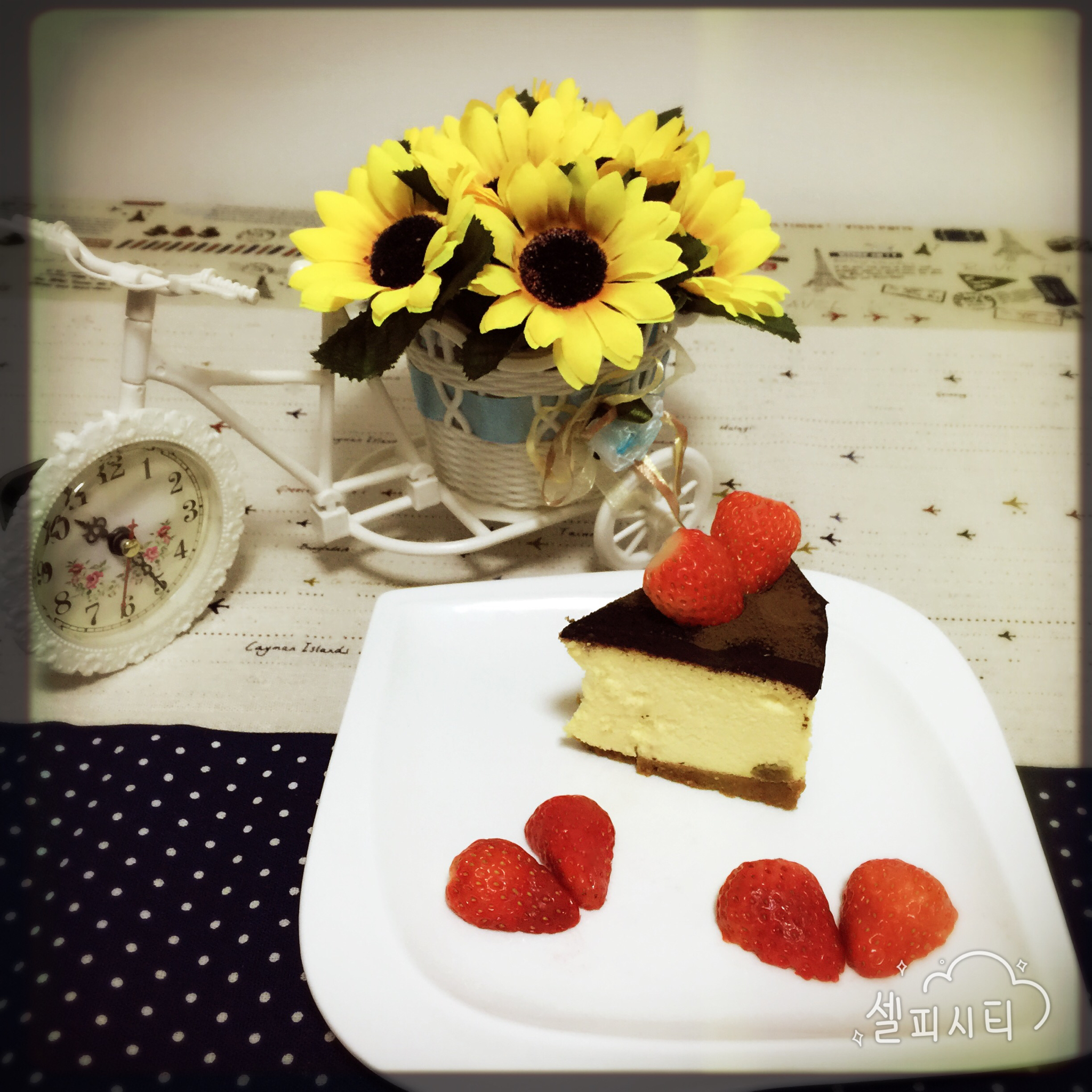 巧克力乳酪蛋糕