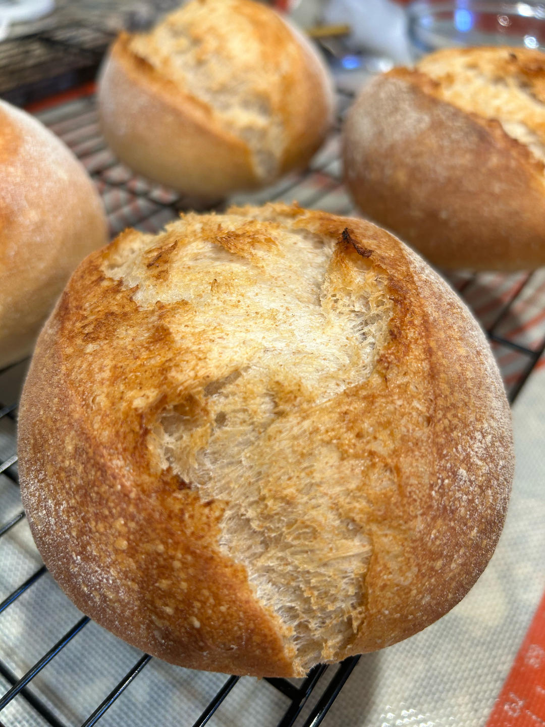 简易全麦乡村面包（隔夜冷藏发酵）