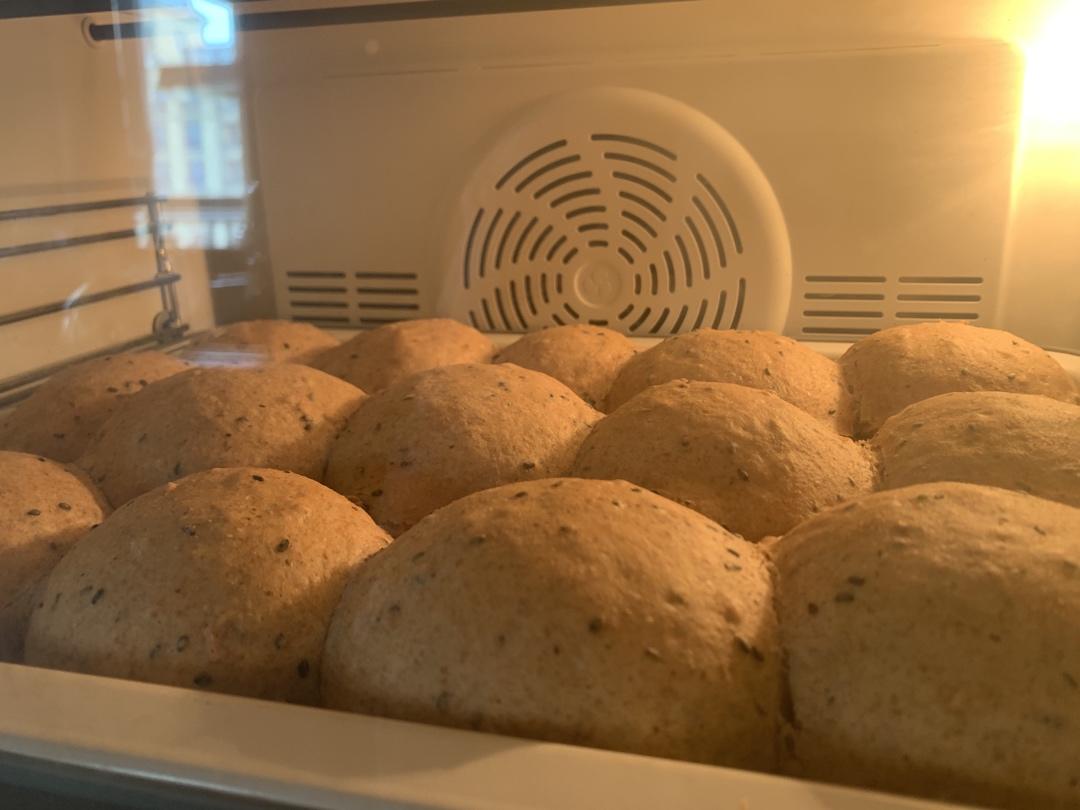 波兰种全麦面包🍞