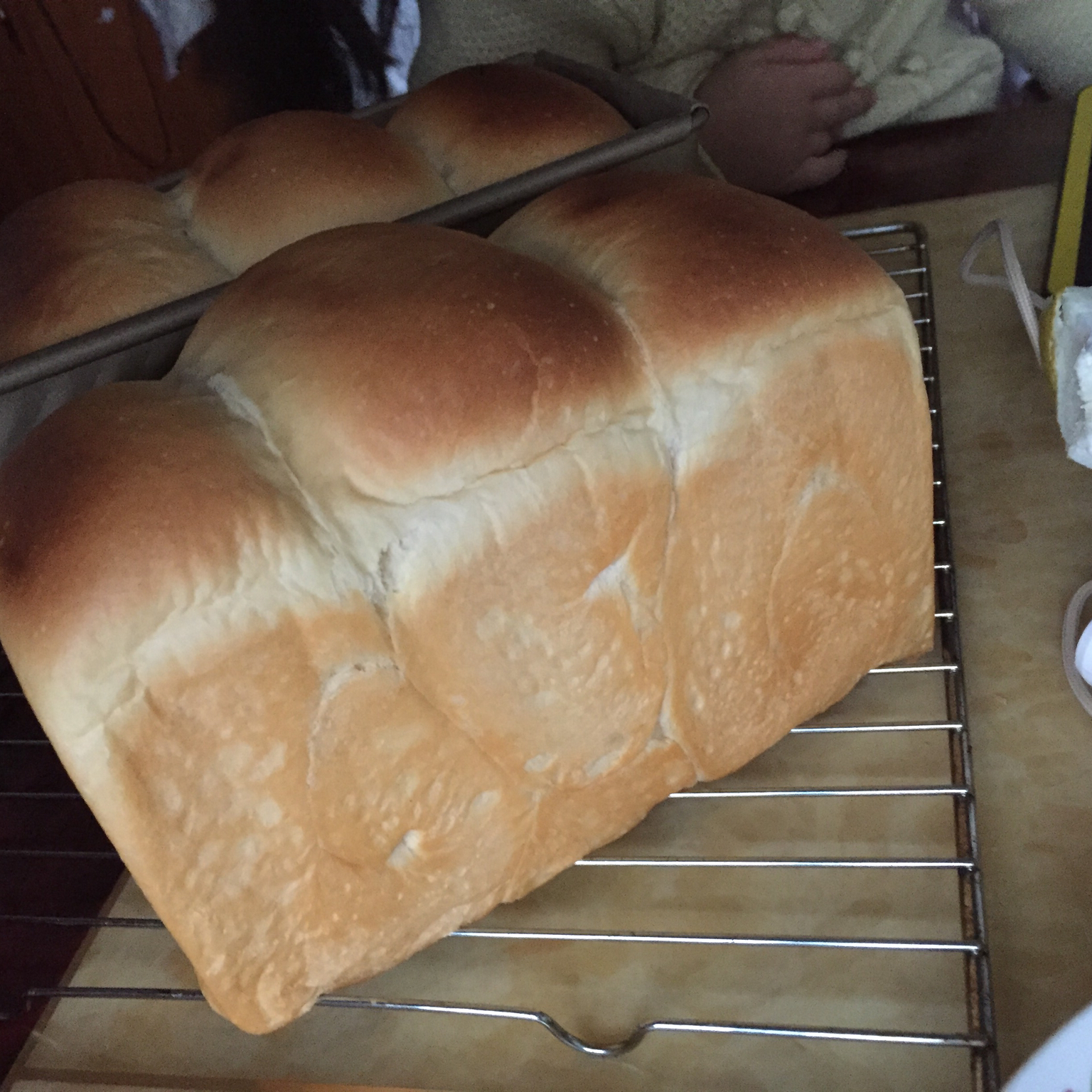 基础面包制作 Basic Bread (Loaf&Roll)