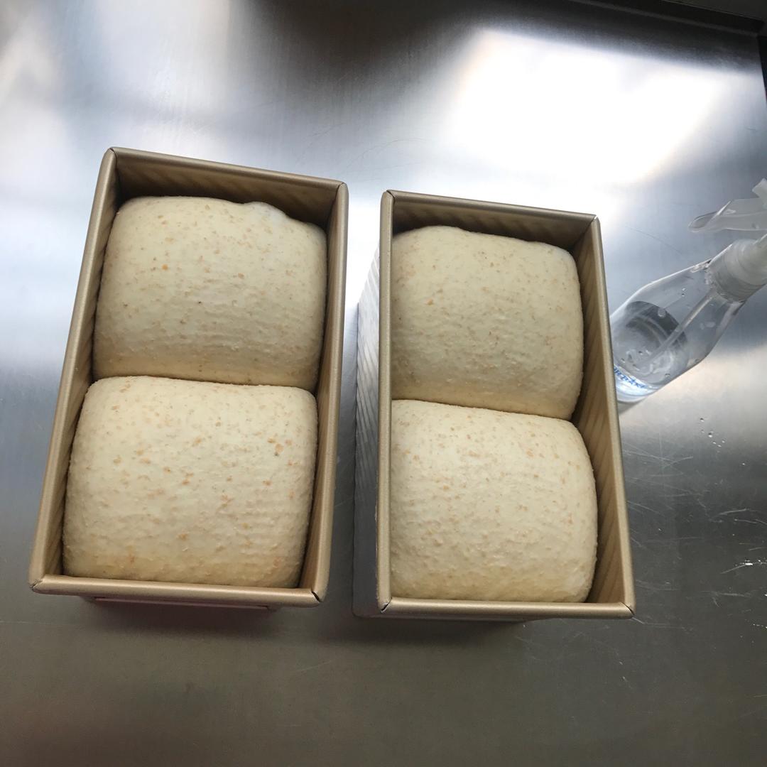 波兰种全麦吐司