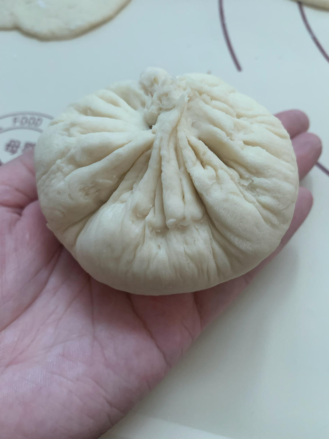 灵魂酱肉包