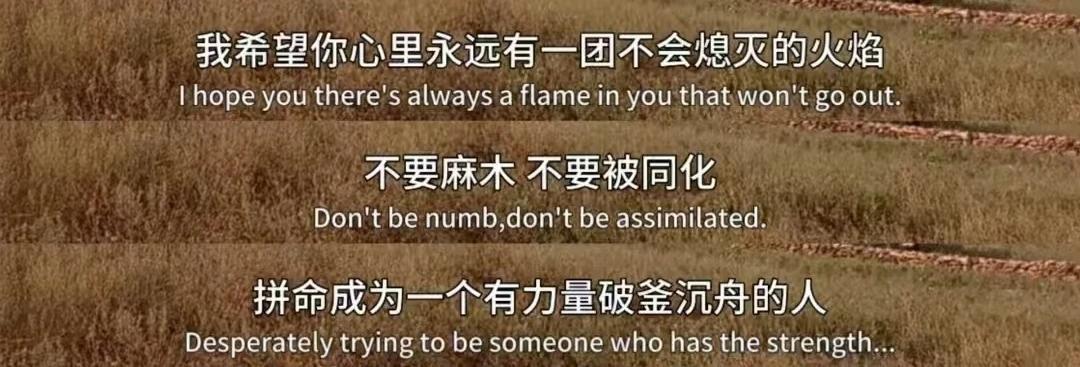 快手菜记录