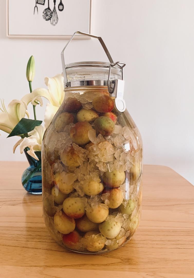 梅子酒🍶&梅子露&梅子醋&梅子苏打🍸