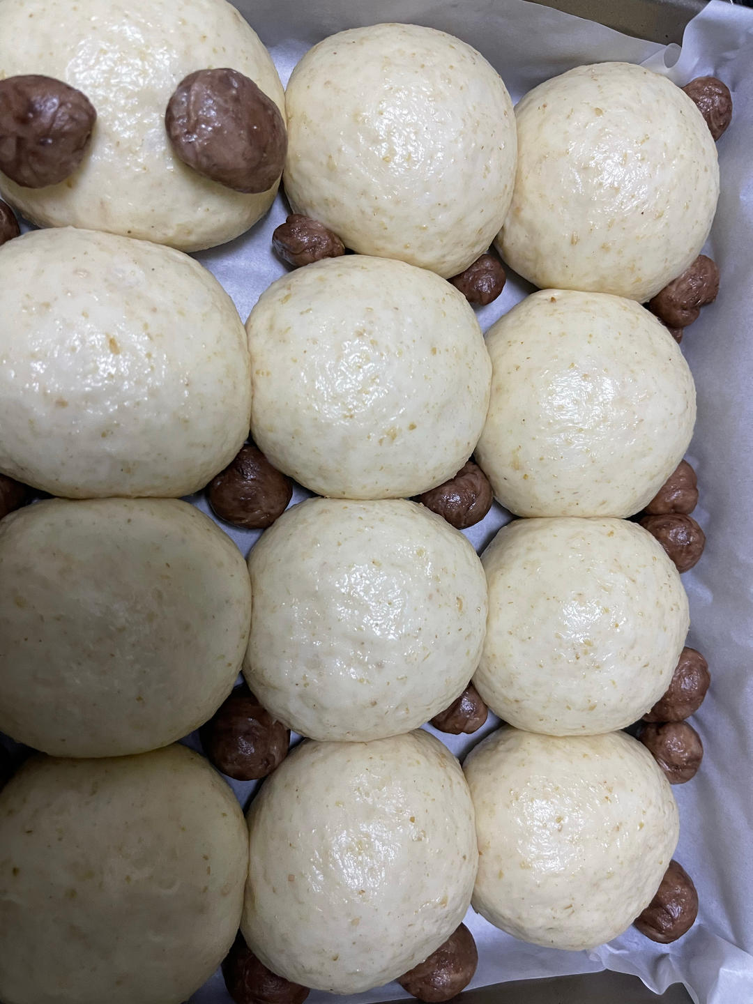 复刻桃李的经典奶棒面包，松软香甜奶香浓郁，还原度超高！