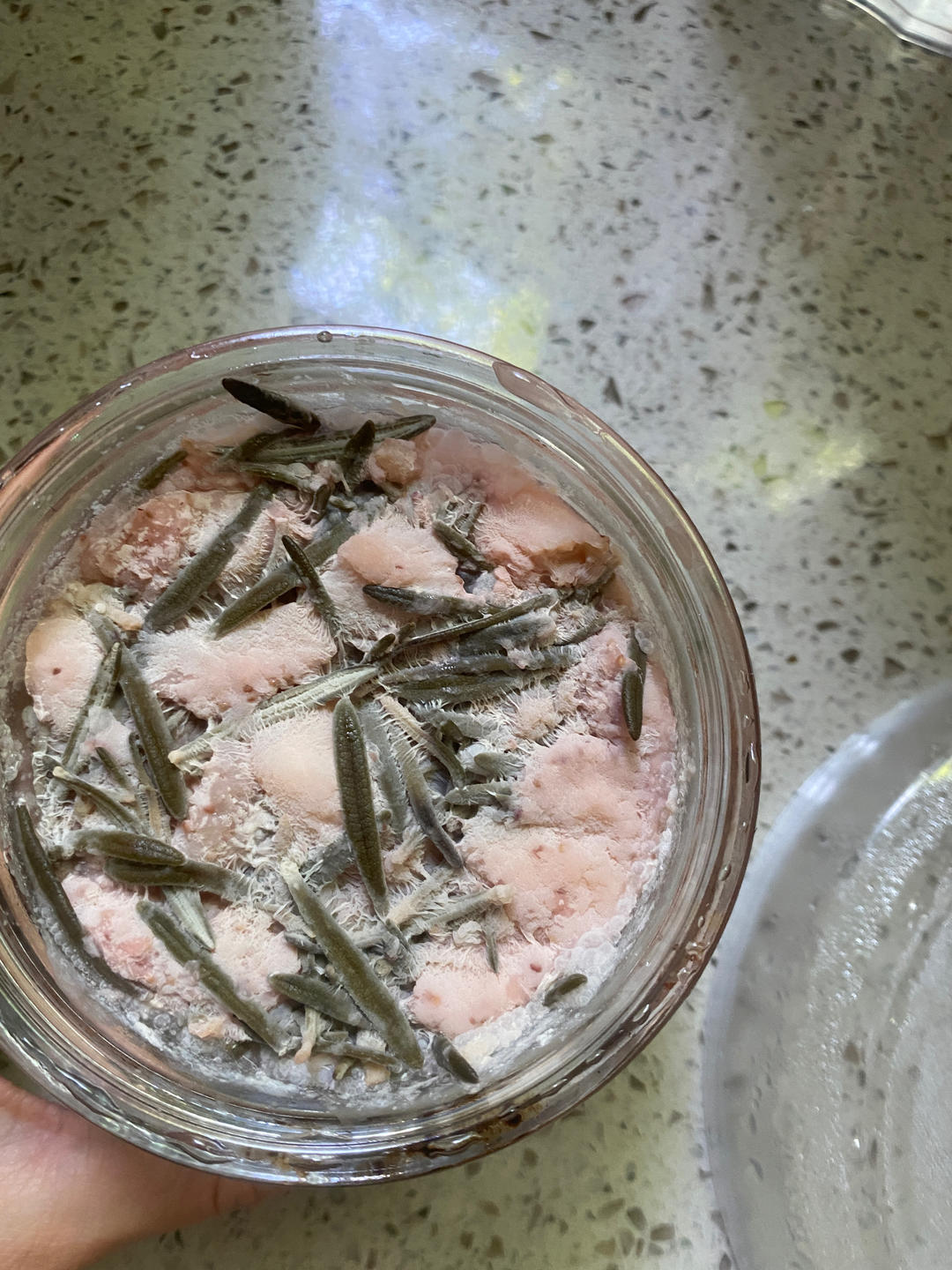 自制草莓酵母液和草莓酵母