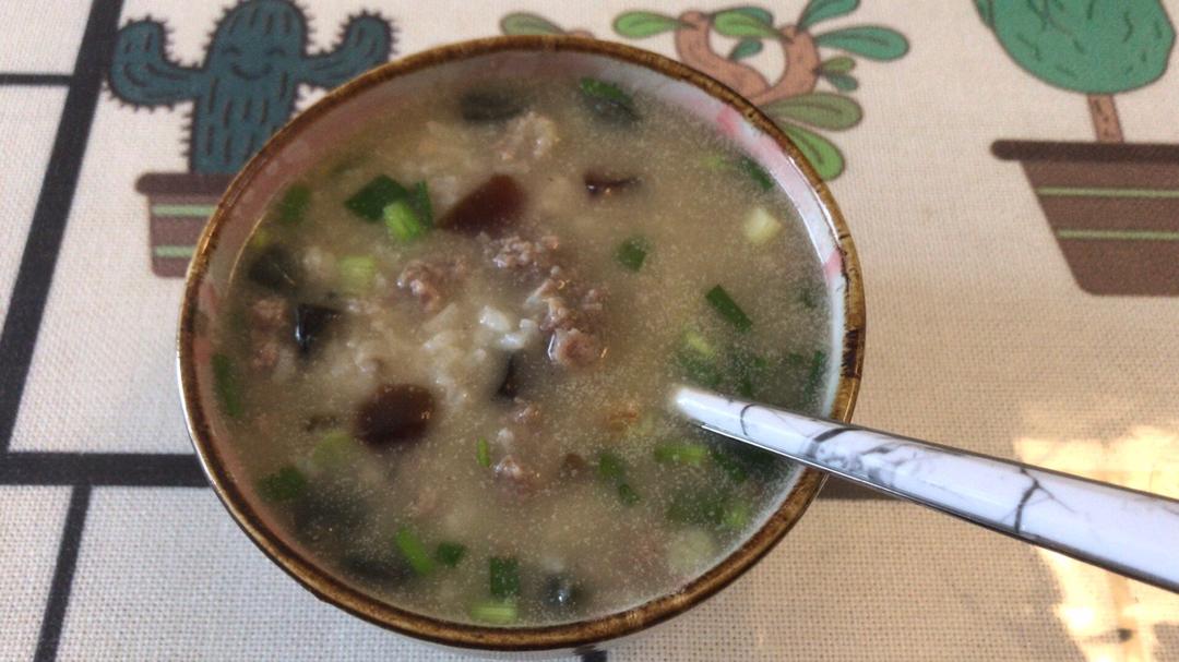 皮蛋瘦肉粥 Pidan & Pork Rice Soup