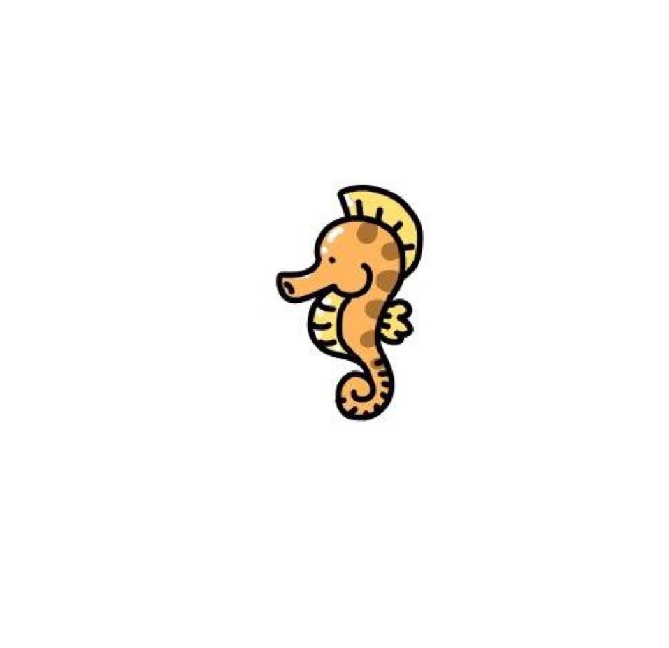 瓜瓜-9