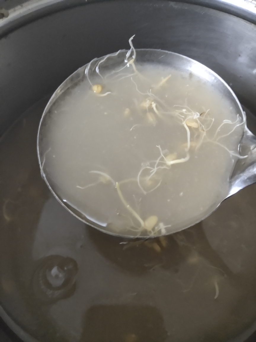 枣红糯麦芽陈皮祛湿水的做法