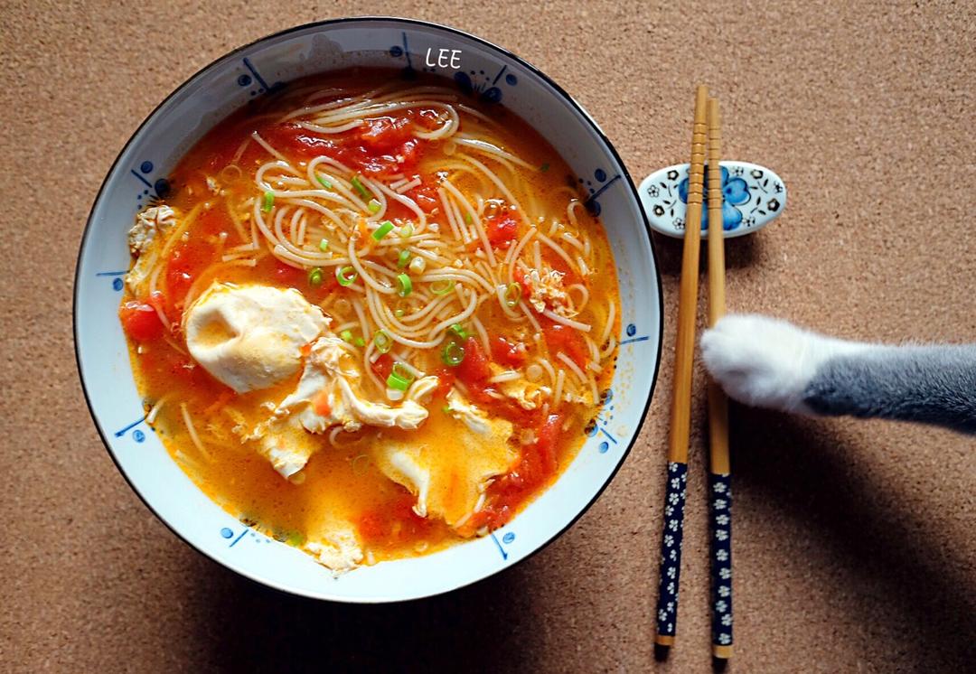 脆心儿小妖做的最家常的普通汤面——西红柿鸡蛋龙须面