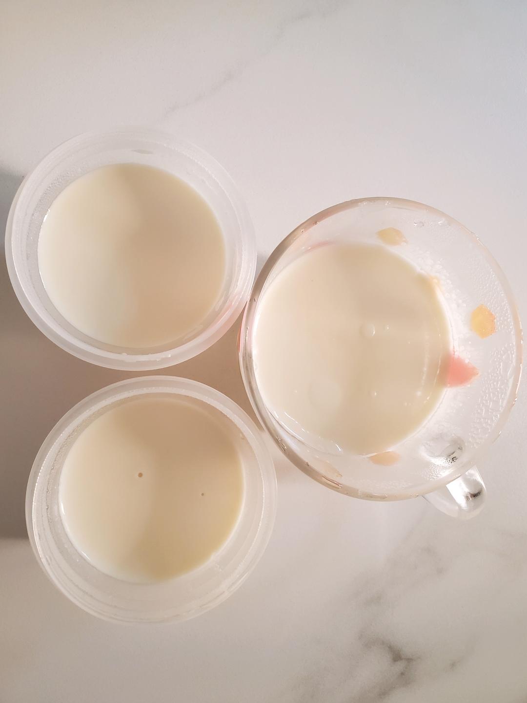 私房爆单🔥网红mini椰奶冻丨好吃绝啦❗