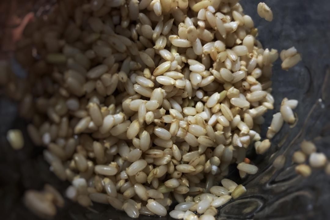 发芽糙米饭丨健康·三餐