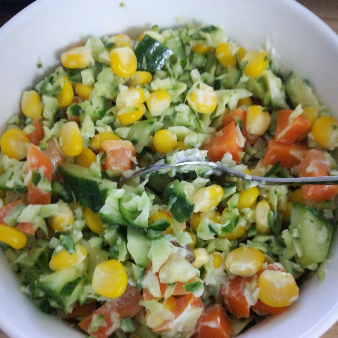 经典蔬菜沙拉