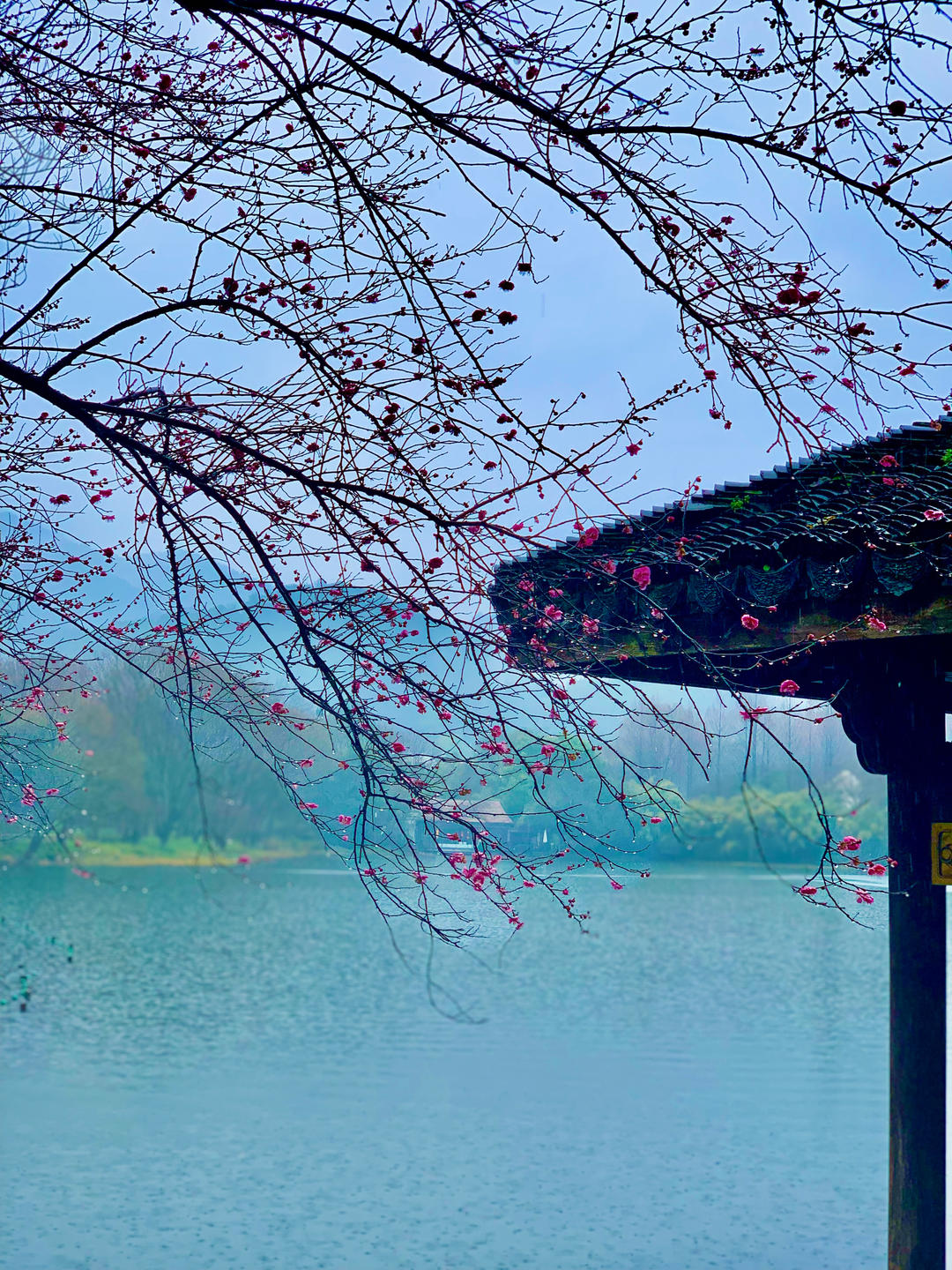 下厨房用户_q2ax