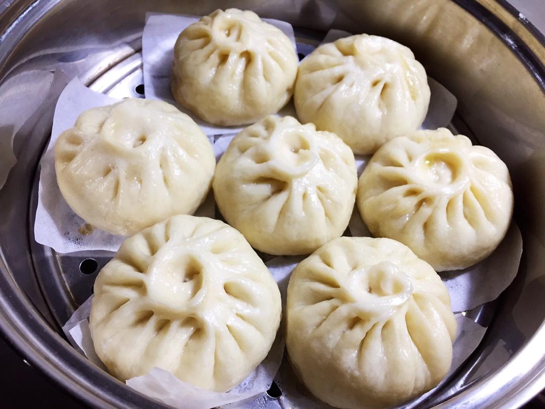 堂妈教你山菜鲜肉大包子