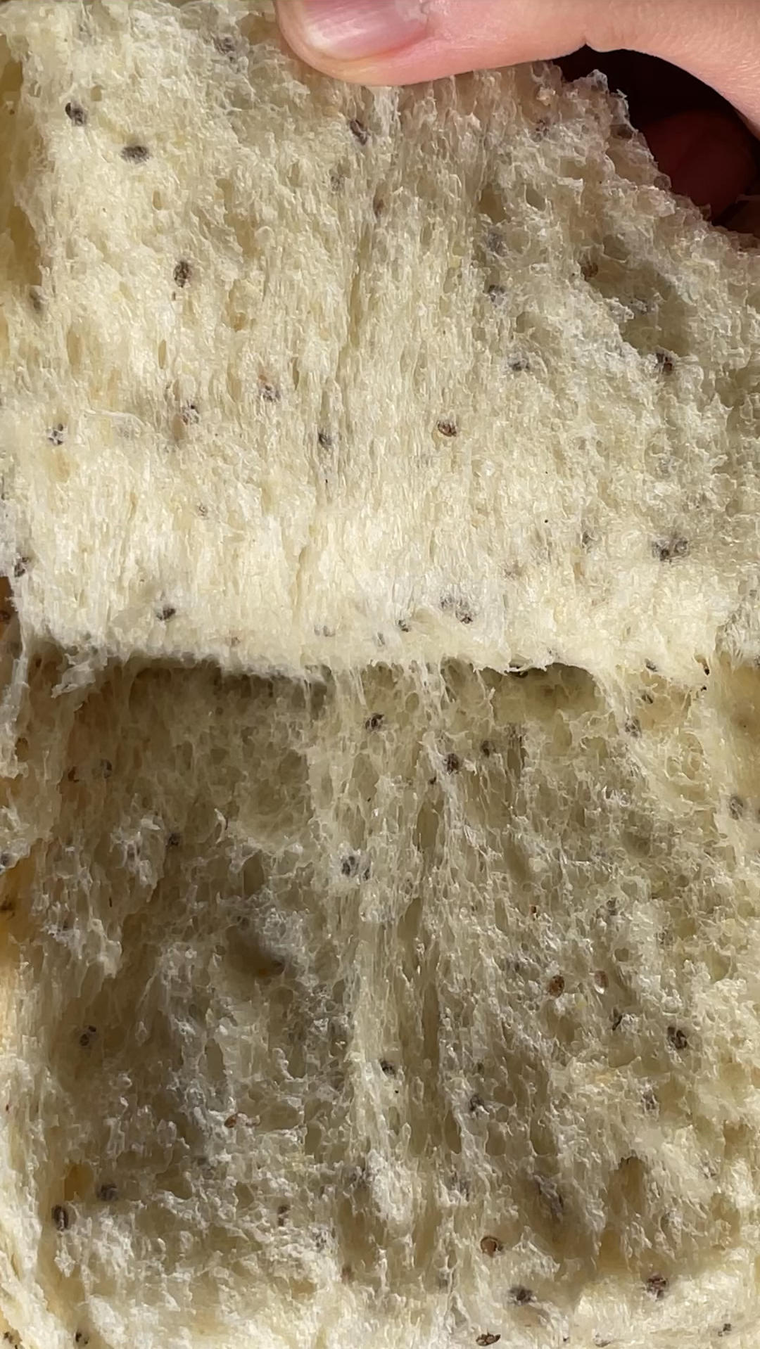 奇亚籽麦麸吐司面包(一次发酵)