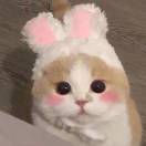 沫沫大魔王