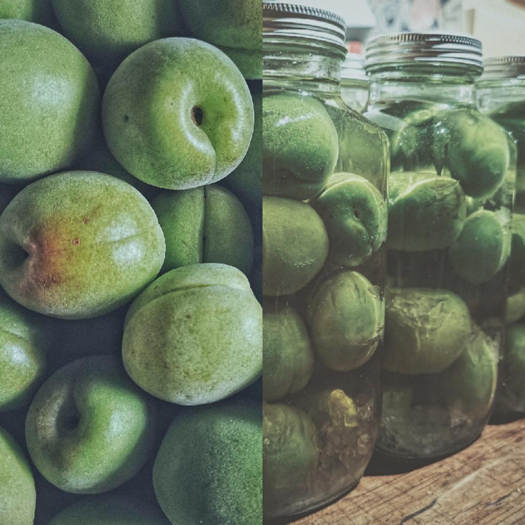 黯然销魂青梅酒