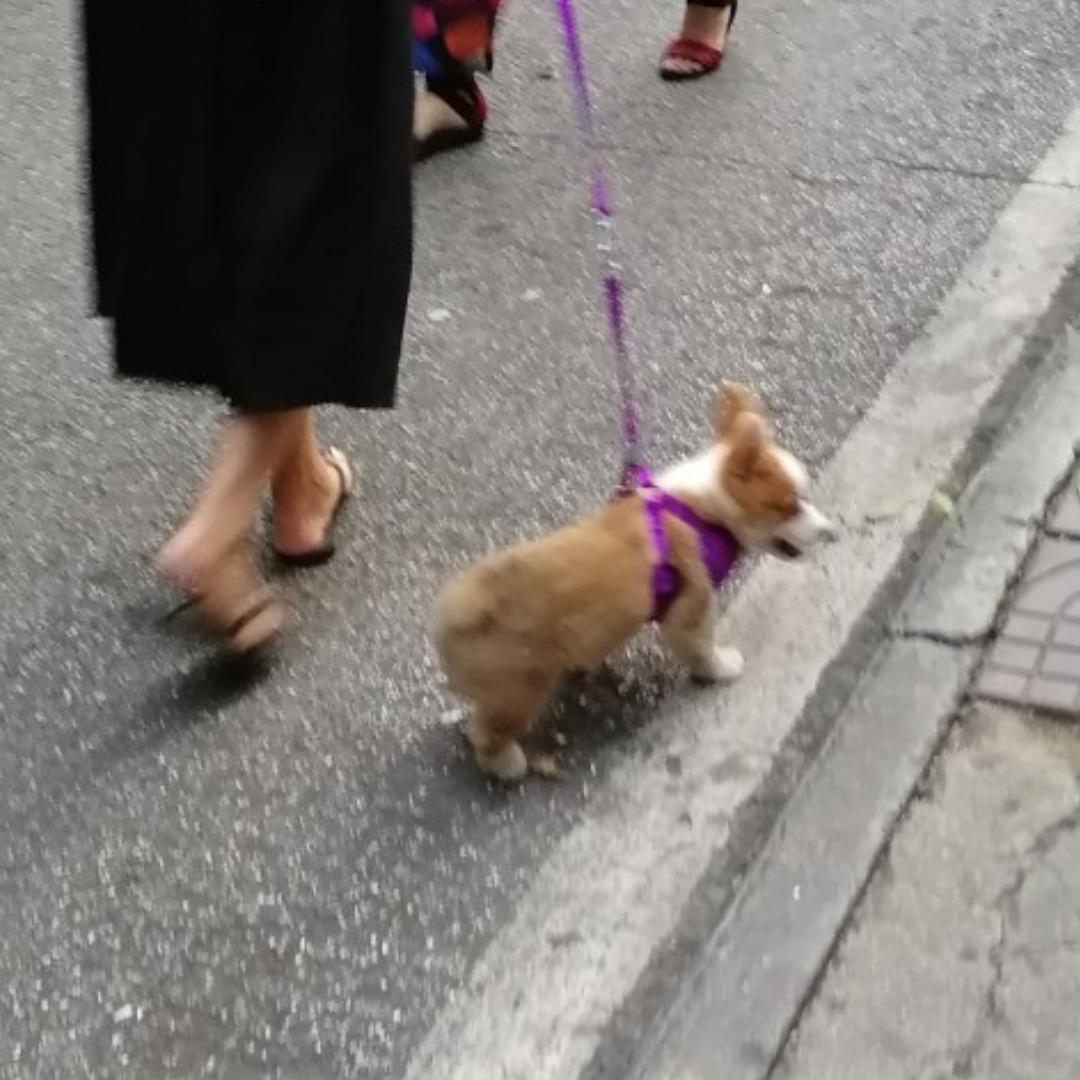 吃货一个_