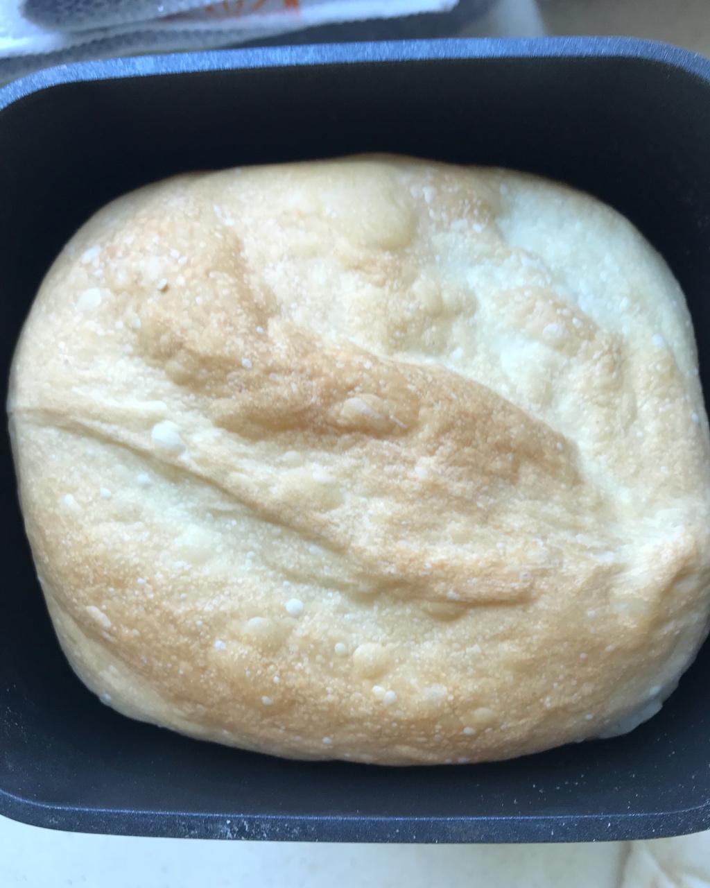 面包机快速素食面包无蛋奶