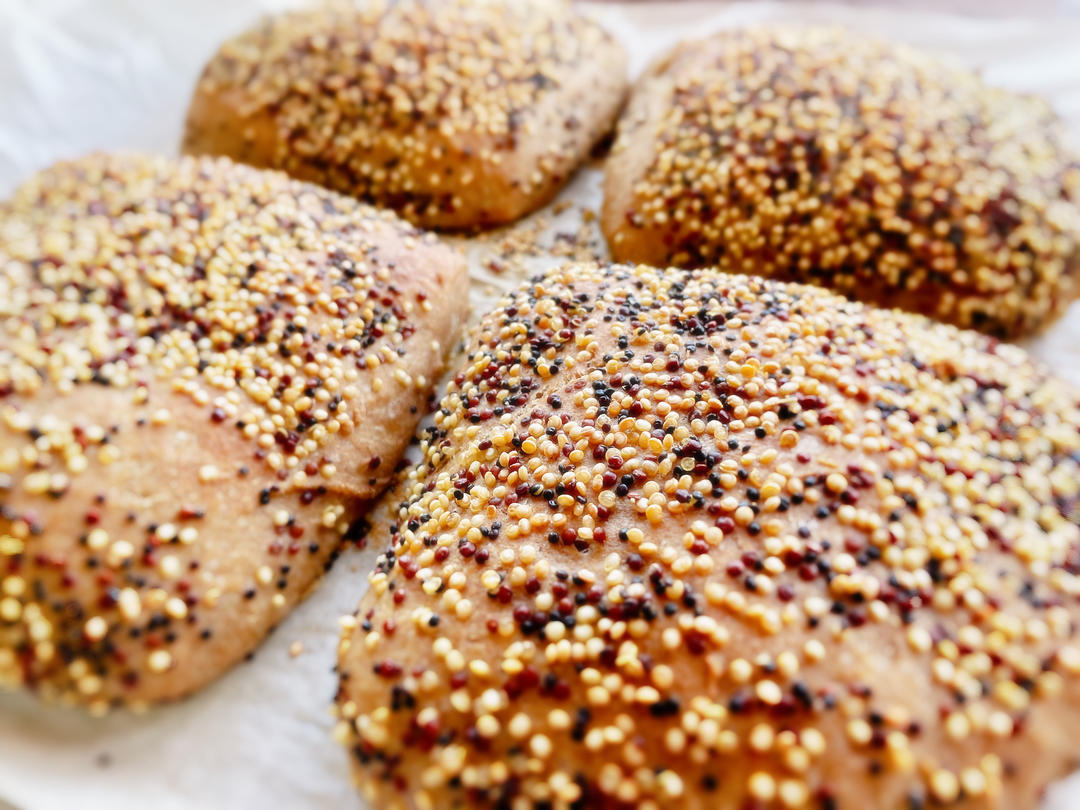 意大利夏巴塔Ciabatta